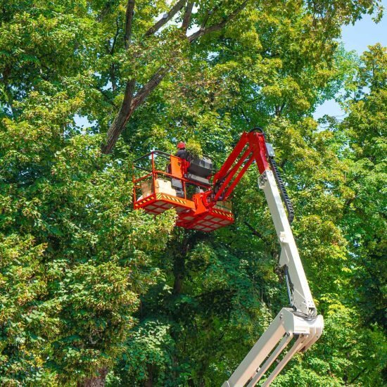 A professional using a crane
