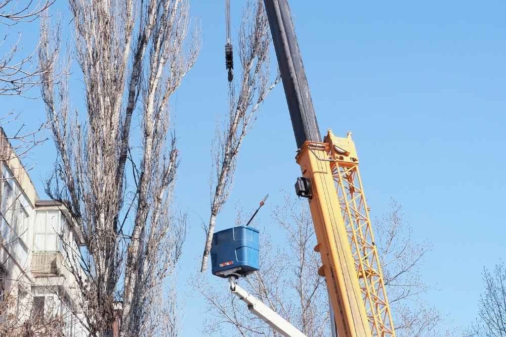 Crane Service