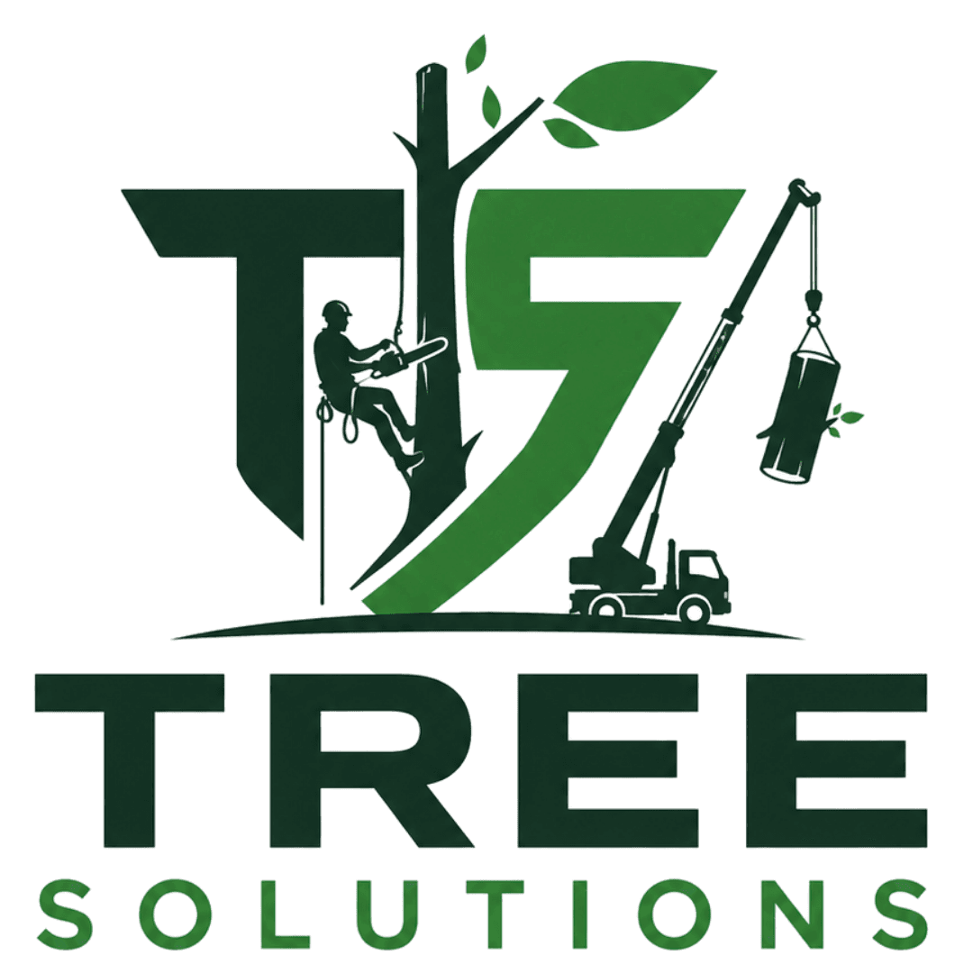 Texas Tree Solutions