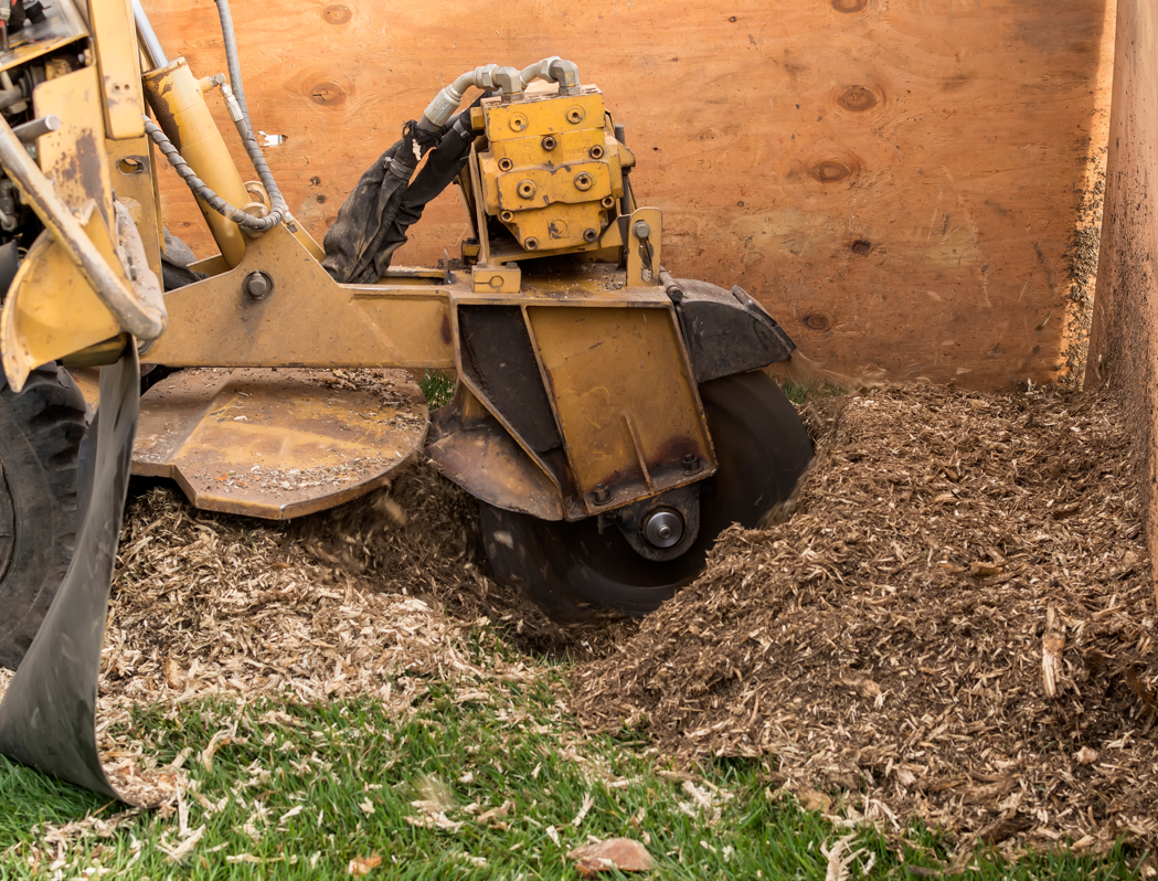 Effective stump grinding