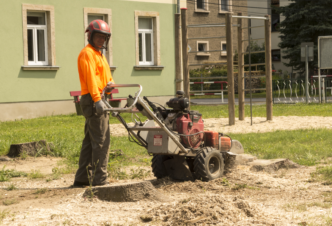 Stump grinding process