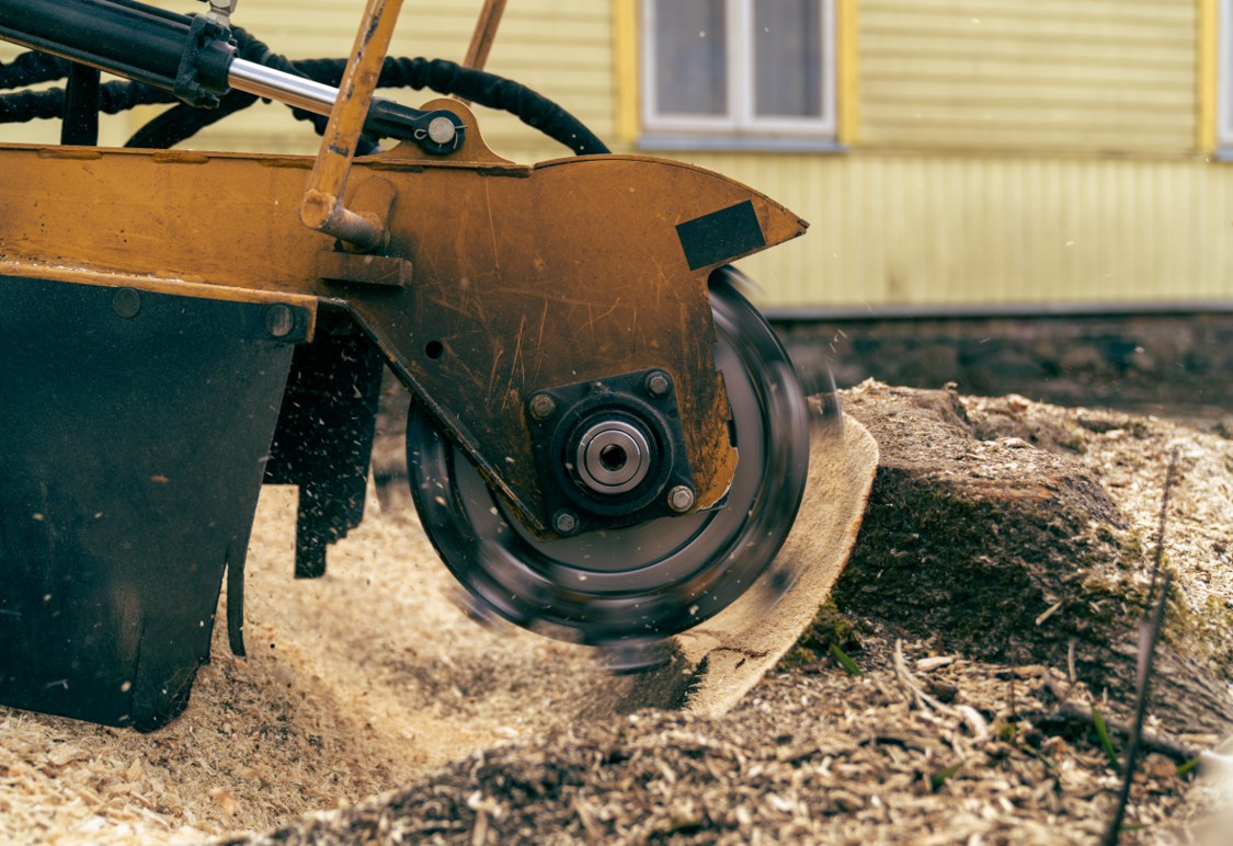 Expert stump grinding