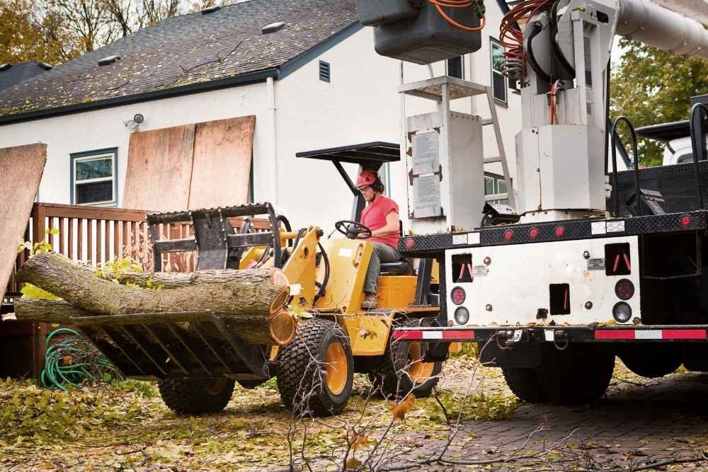 emergency tree removal Seguin TX