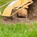 stump grinding service near me Seguin TX
