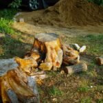stump removal services New Braunfels TX