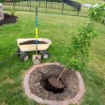 Tree Planting