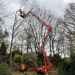 tree removal Luling TX